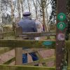 Through The Gate