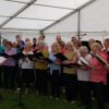 Village Voices at Lillington Fun Day